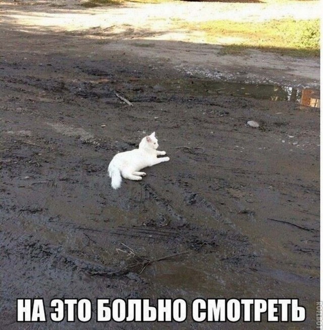 Картинки и мемы, всем прекрасных выходных