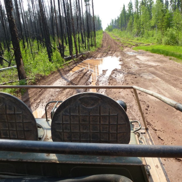 Угадайте по фоткам, кем я работаю?