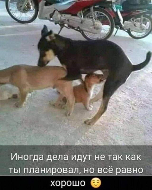 Немного картинок разной степени новизны и адекватности - 12