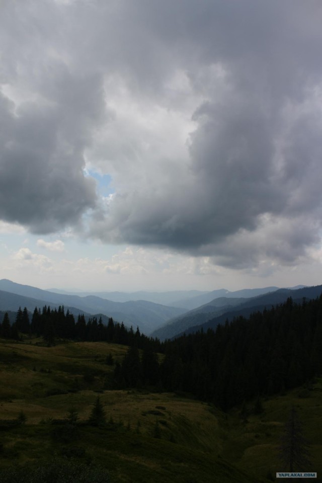 Карпаты, Закарпатье.