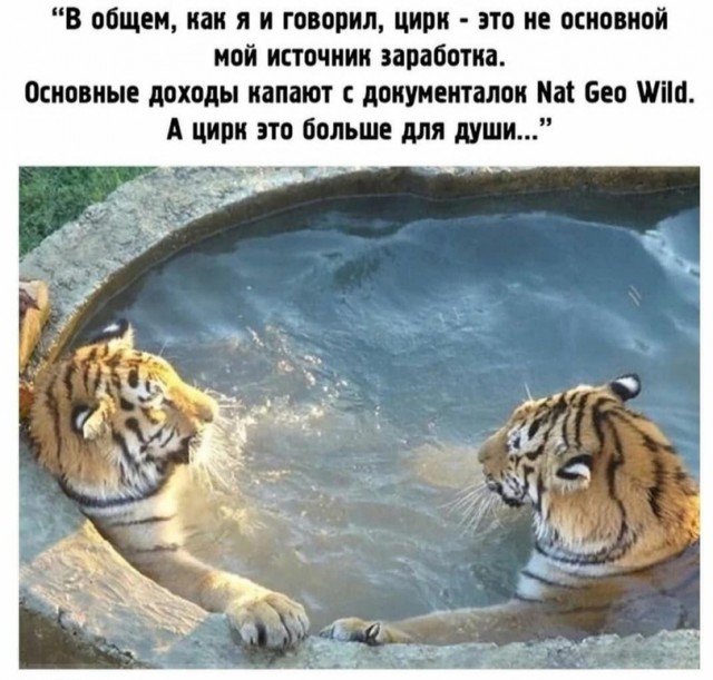 Так себе картинки 09.12.21