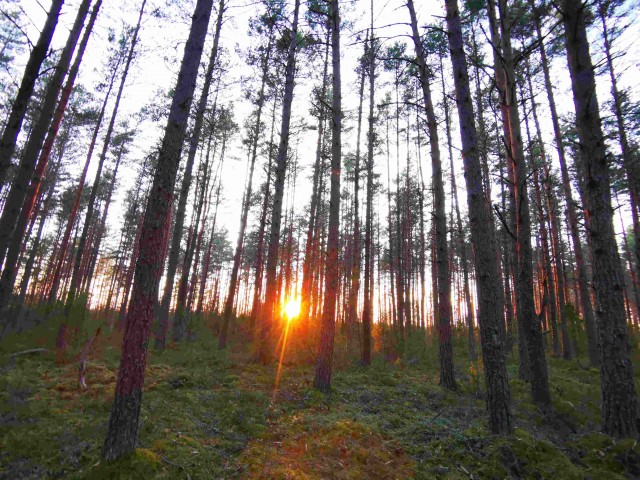Рассветы. Закаты. Фото