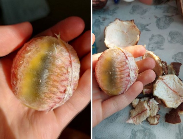 16 фотографий из разных сфер жизни, доходчиво объясняющих «Что будет, если…»