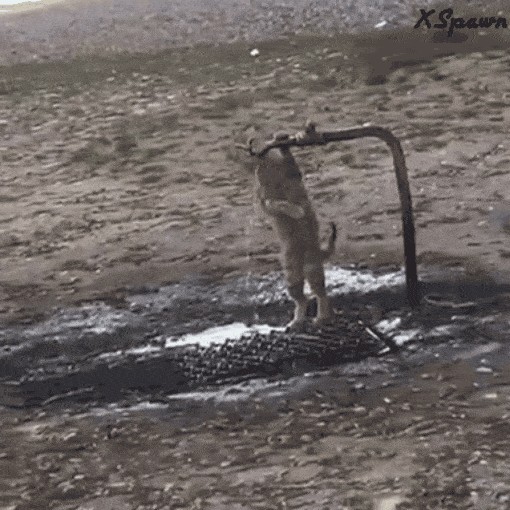 Утро понедельника