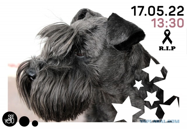 Началось