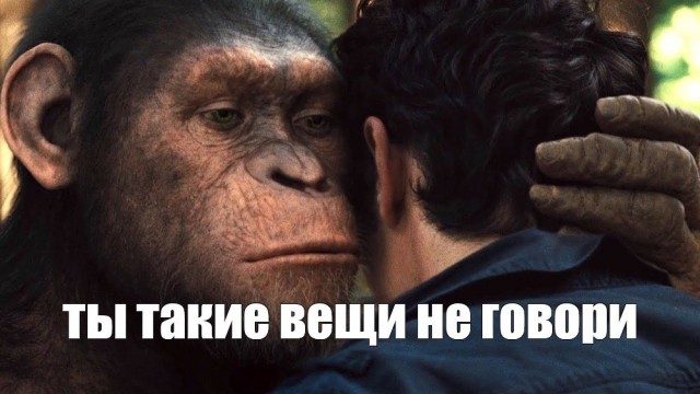 Про оспу обезьян