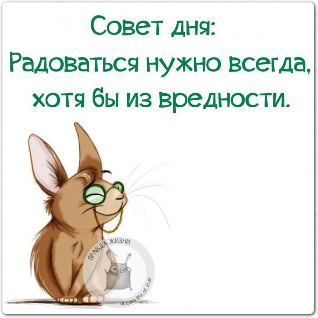 Пандемия съехавших крыш - разновидности болезни. Россия и мир. Часть 37