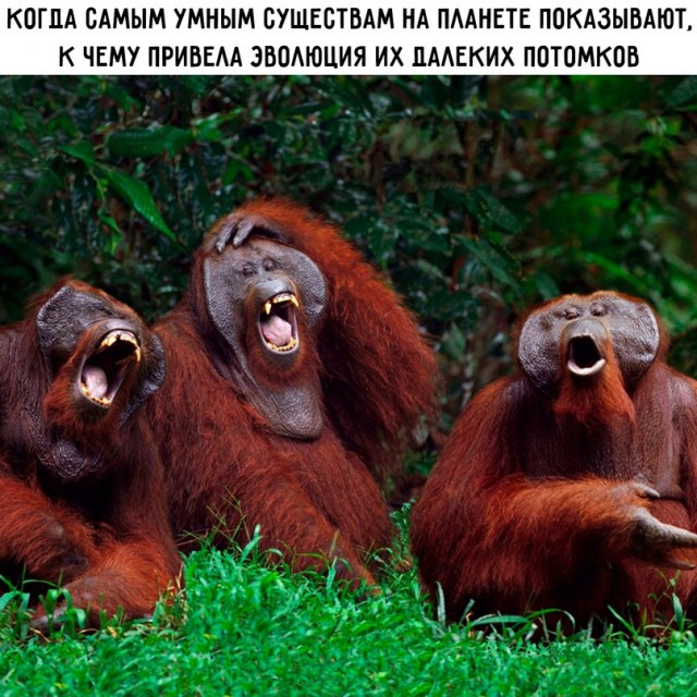 Немного картинок для настроения - 125