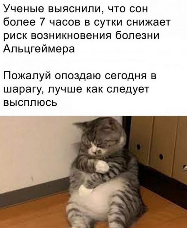 Прикольные и просто красивые картинки 15.11.22