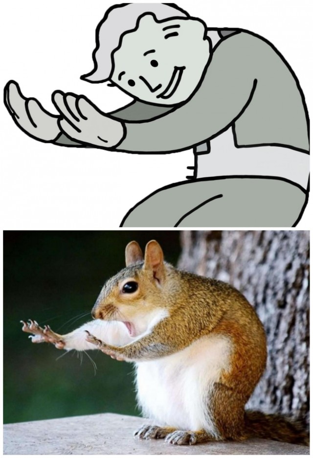 Фотожаба "Белка экстрасен"