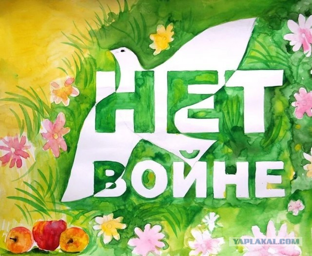 Иркутянку оштрафовали за наклейку, дискредитирующую Вооруженные Силы РФ.