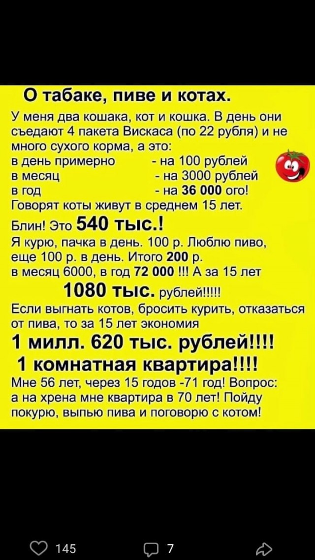 О табаке, пиве и котах