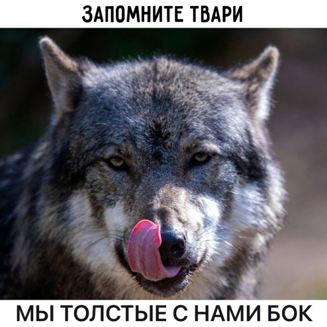 Немного картинок для настроения - 165