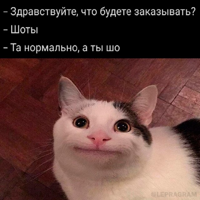 Картинки и мемы, всяко разно - 171