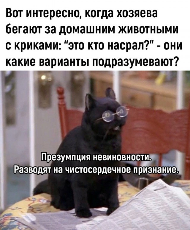 Так себе картинки 27.04.23