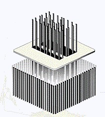Жертвы терактов 9/11