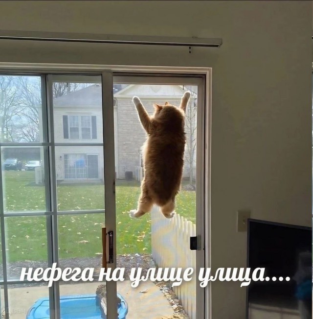 Всего понемногу. От 10.08.