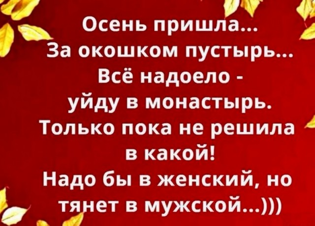 Весёлый полтишок 10.10.23
