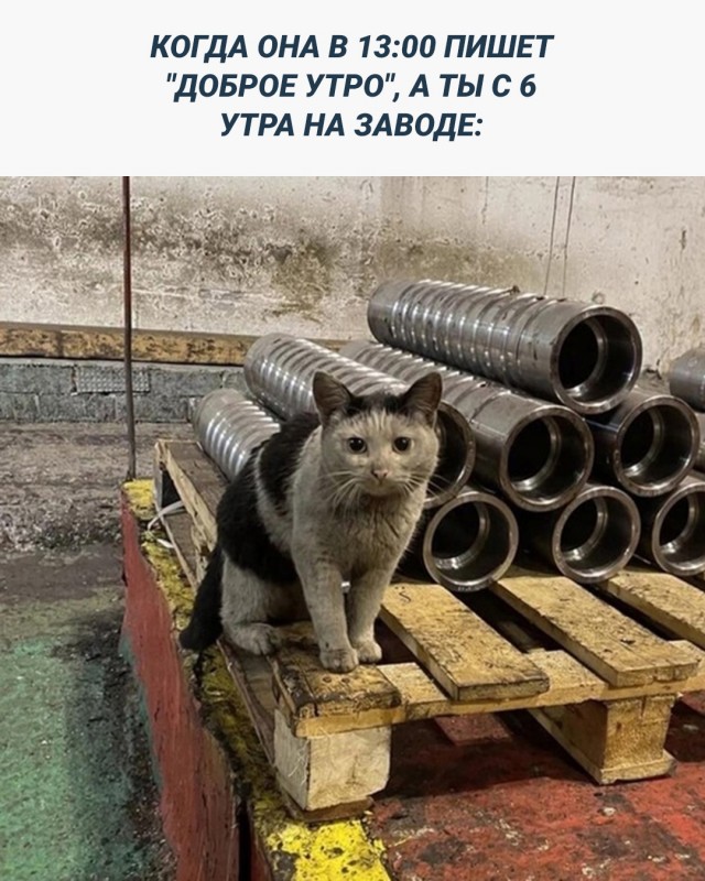 Калейдоскоп картинок