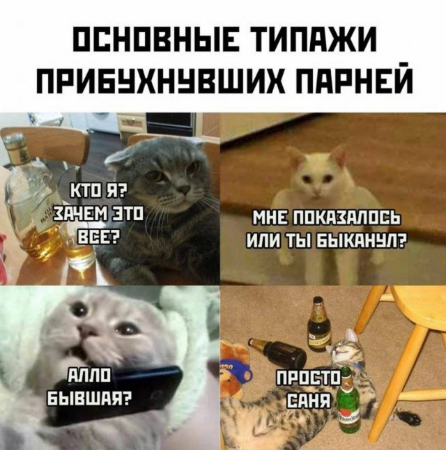 Так себе картинки 19.05.24