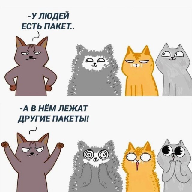 Немного забавных картинок от 18.08.2024