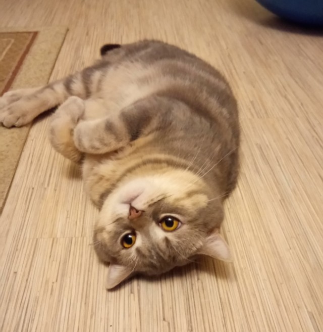А у Даны д.р. Ей 10 лет!