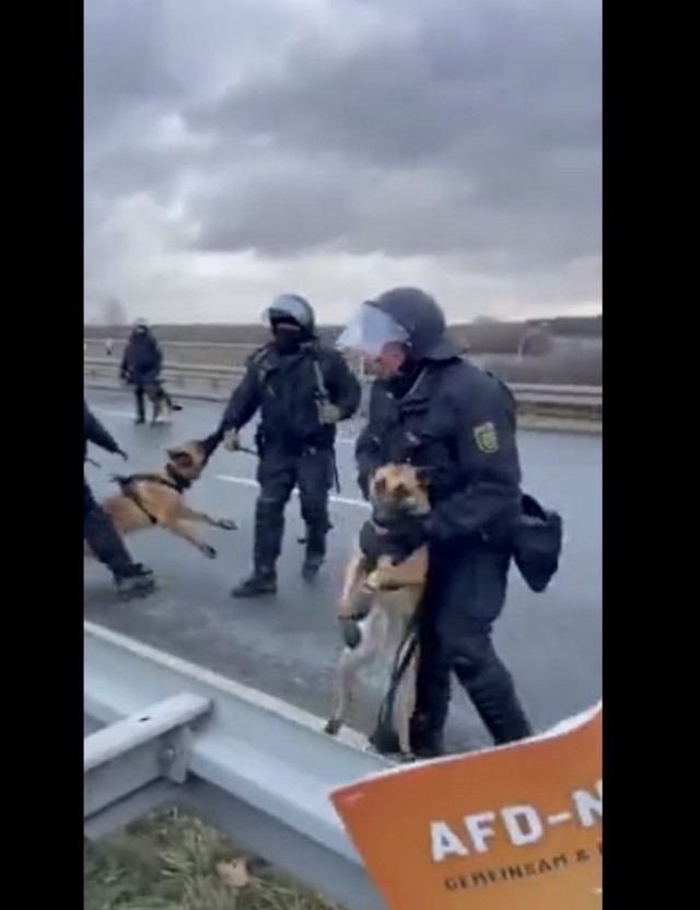 Давай, кусь кусь