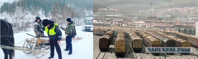 Дровосек из Калужской области убил троих сотрудников лесохраны, взял заложников, а потом покончил с собой