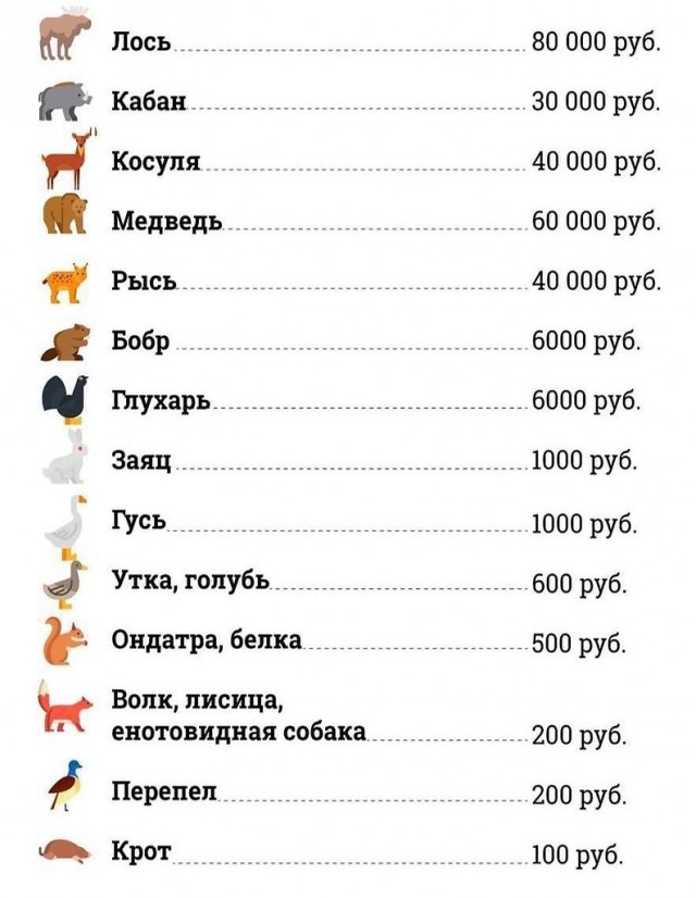 Что может быть не так при обгоне фуры