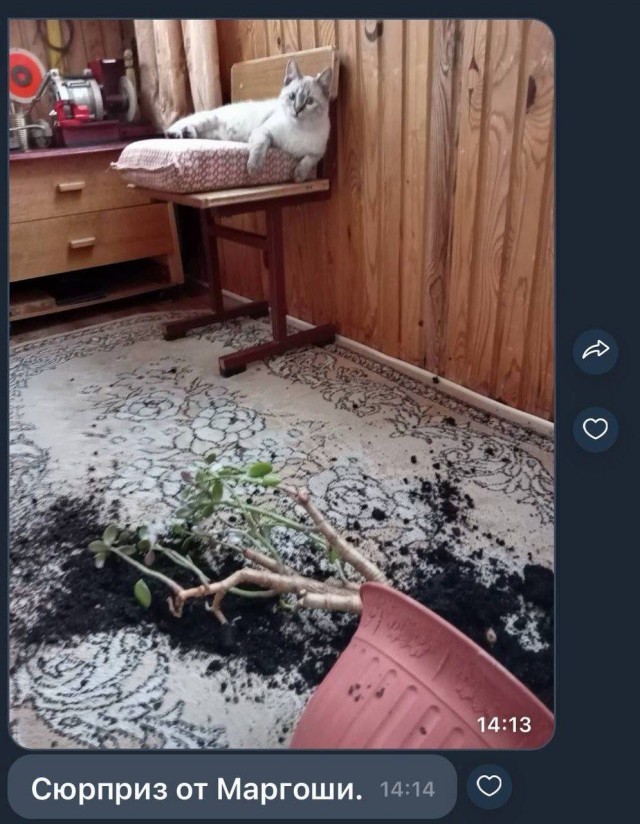 Завалялось тут случайно немного забавных картинок