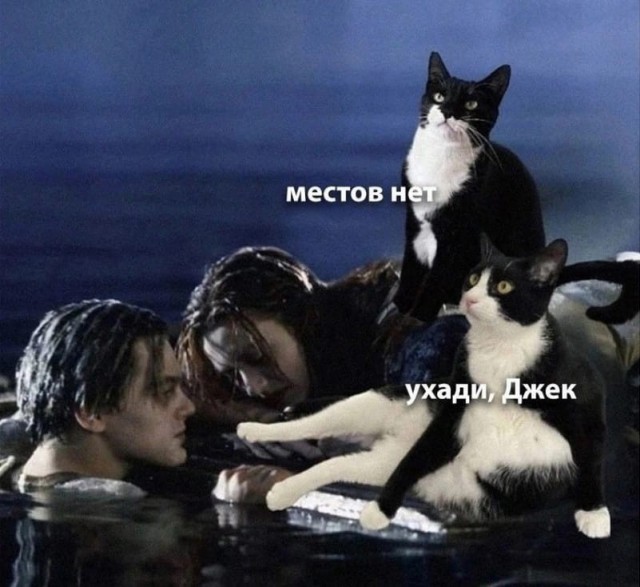 Так себе картинки 20.03.25