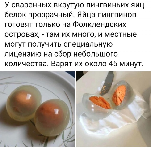 Так себе картинки 29.04.25