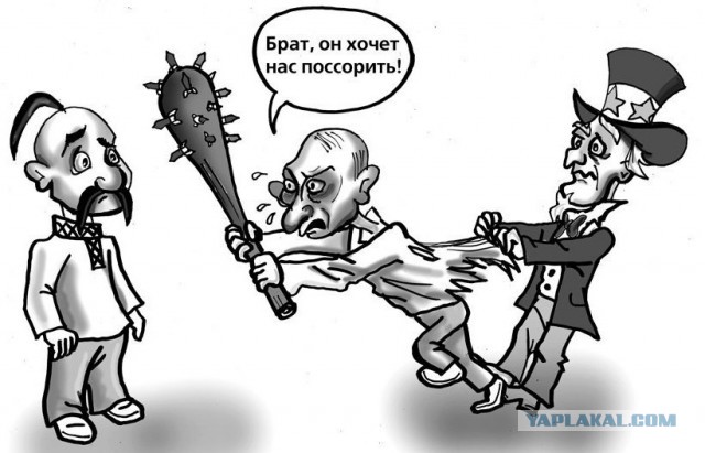 Какая приятная барышня
