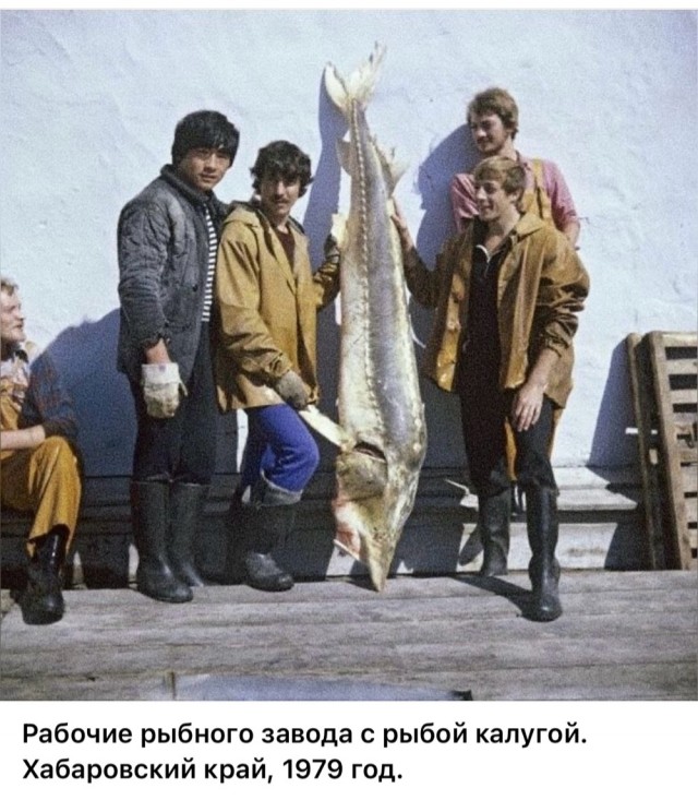 ​ Фотографии из прошлого нашей страны – 114
