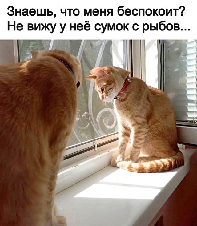 Так себе картинки 05.08.25