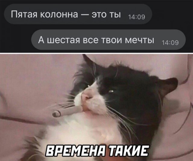 Веселые картинки в первый день октября (01.10)