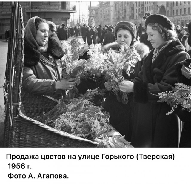 Повседневная жизнь Москвы 1950-х годов