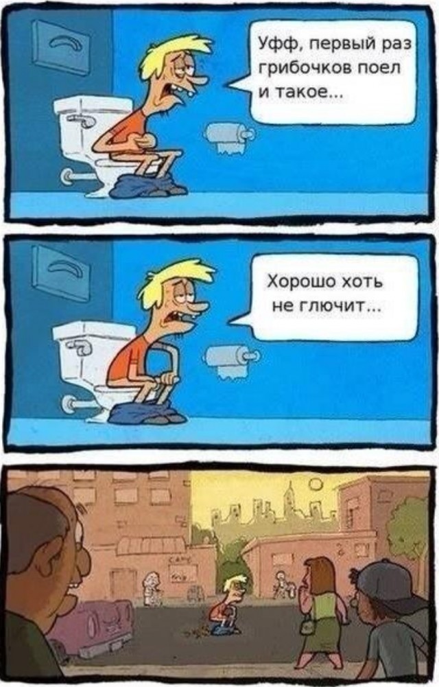 Веселые картинки в понедельник (24.11)
