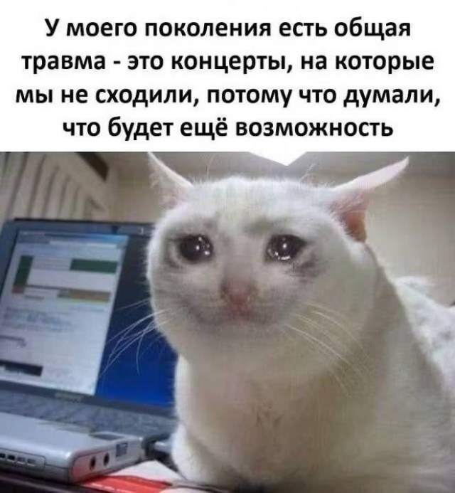 Наверное, это самое большое сожаление
