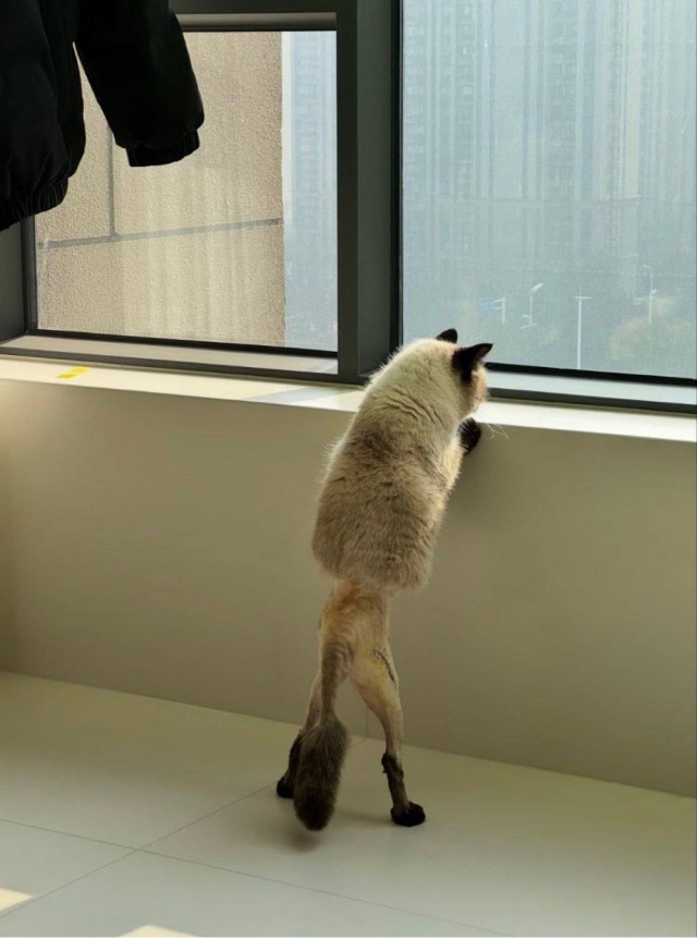 Когда утром смотришь в окно и пытаешься понять, нужно ли надевать подштанники.