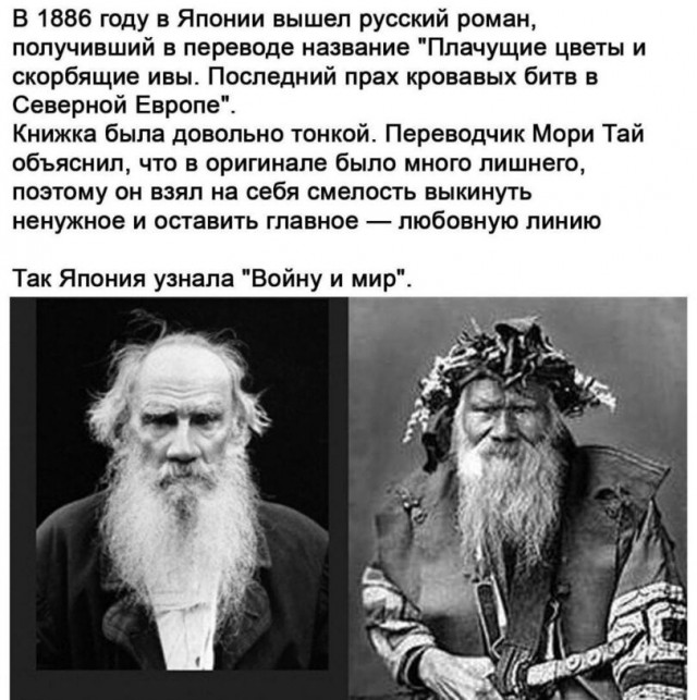 Так себе картинки 29.01.26
