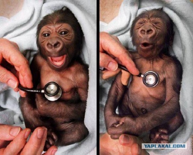 Картинки среды