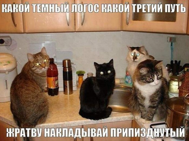 Картинки для деградации 154 (разной степени свежести)