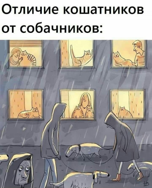 Ура, вы проснулись