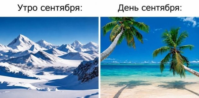 Веселые картинки в маленькую пятницу (14.10)