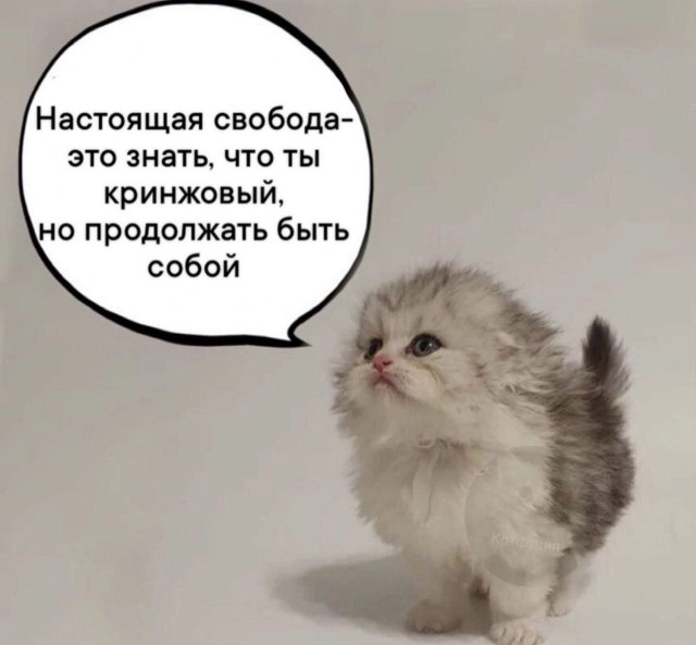 Психомемы-20