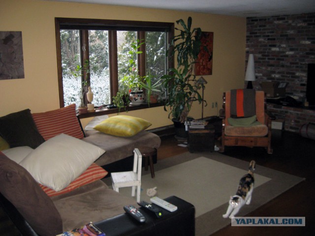 Деревенская Америка