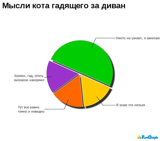 Жизненные графики
