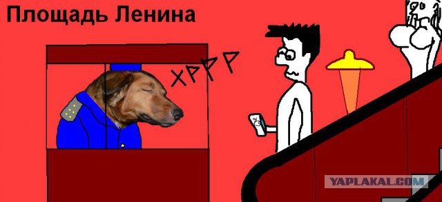 Собака-много чего умяка