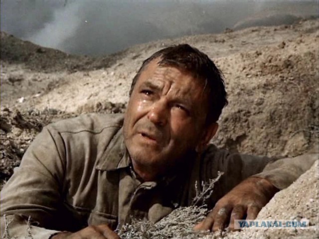 Вышел сегодня во двор покурить.